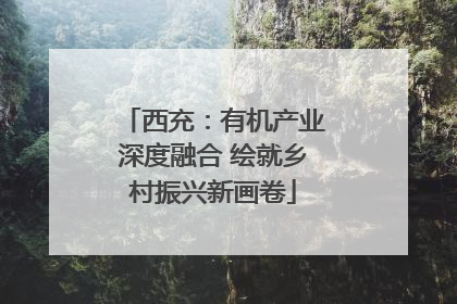 西充：有机产业深度融合 绘就乡村振兴新画卷