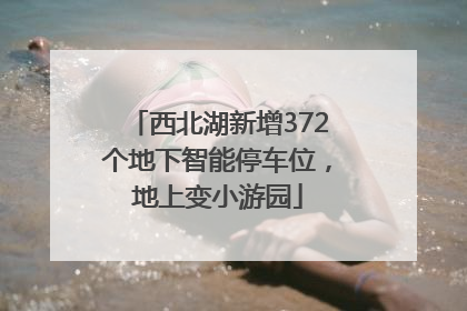 西北湖新增372个地下智能停车位，地上变小游园