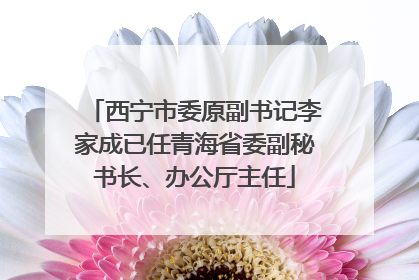 西宁市委原副书记李家成已任青海省委副秘书长、办公厅主任