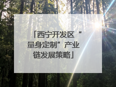 西宁开发区“量身定制”产业链发展策略