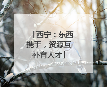 西宁：东西携手，资源互补育人才