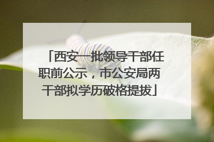 西安一批领导干部任职前公示，市公安局两干部拟学历破格提拔