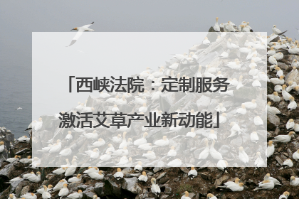 西峡法院：定制服务激活艾草产业新动能