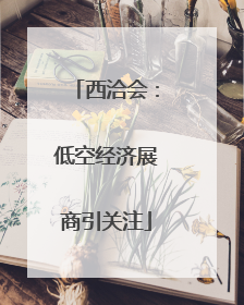 西洽会：低空经济展商引关注