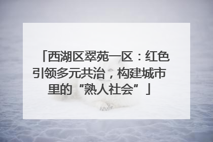 西湖区翠苑一区：红色引领多元共治，构建城市里的“熟人社会”