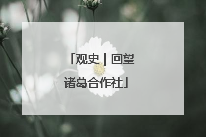 观史｜回望诸葛合作社