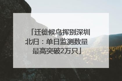 迁徙候鸟挥别深圳北归：单日监测数量最高突破2万只