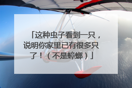 这种虫子看到一只，说明你家里已有很多只了！（不是蟑螂）
