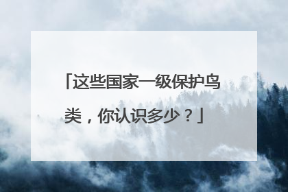 这些国家一级保护鸟类，你认识多少？
