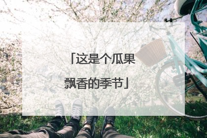 这是个瓜果飘香的季节
