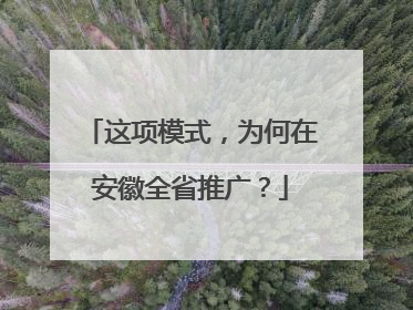 这项模式，为何在安徽全省推广？