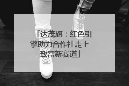 达茂旗：红色引擎助力合作社走上致富新赛道