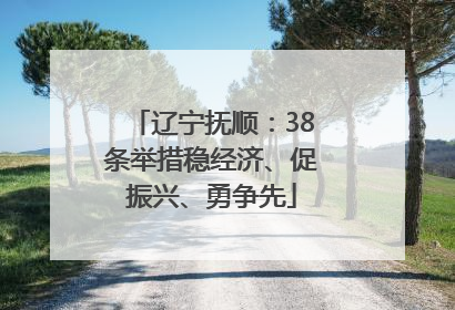 辽宁抚顺：38条举措稳经济、促振兴、勇争先