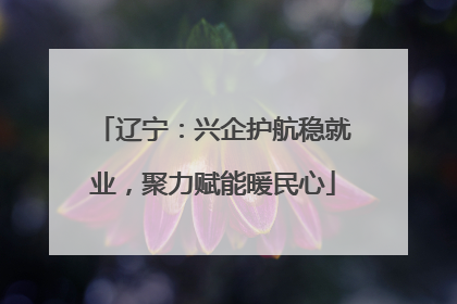 辽宁：兴企护航稳就业，聚力赋能暖民心
