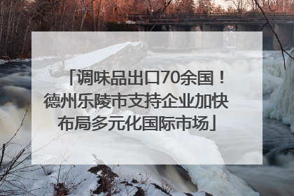 调味品出口70余国！德州乐陵市支持企业加快布局多元化国际市场