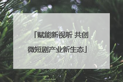 赋能新视听 共创微短剧产业新生态
