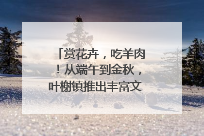 赏花卉，吃羊肉！从端午到金秋，叶榭镇推出丰富文旅活动邀您爽玩