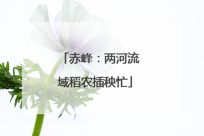 赤峰：两河流域稻农插秧忙