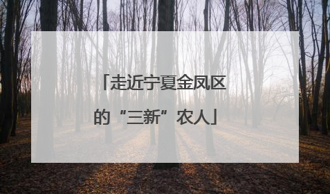 走近宁夏金凤区的“三新”农人