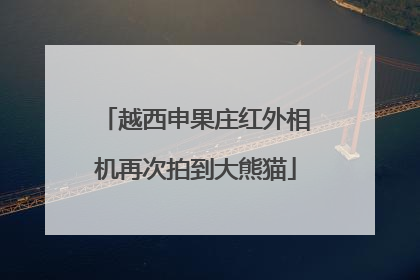 越西申果庄红外相机再次拍到大熊猫