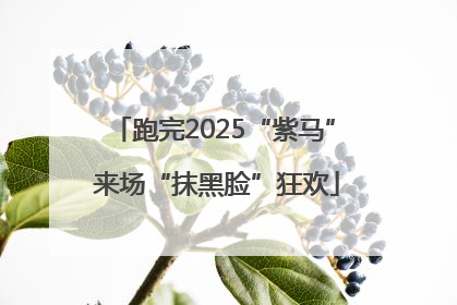 跑完2025“紫马” 来场“抹黑脸”狂欢