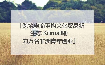 跨境电商重构文化贸易新生态 Kilimall助力万名非洲青年创业