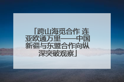 跨山海觅合作 连亚欧通万里——中国新疆与东盟合作向纵深突破观察