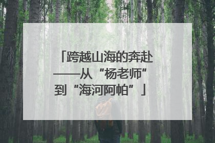 跨越山海的奔赴——从“杨老师”到“海河阿帕”