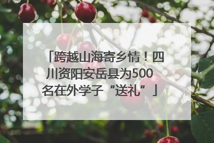 跨越山海寄乡情！四川资阳安岳县为500名在外学子“送礼”