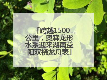 跨越1500公里，奥森龙形水系迎来湖南益阳双桡龙舟表