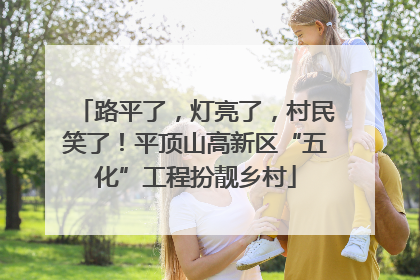 路平了，灯亮了，村民笑了！平顶山高新区“五化”工程扮靓乡村