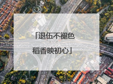 退伍不褪色 稻香映初心