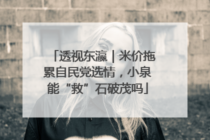 透视东瀛｜米价拖累自民党选情，小泉能“救”石破茂吗