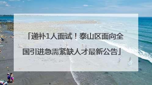 递补1人面试！泰山区面向全国引进急需紧缺人才最新公告