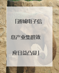 通城电子信息产业集群效应日益凸显
