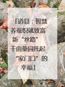 道县：智慧养蚕织就致富新“丝路” 千亩桑园托起“家门口”的幸福