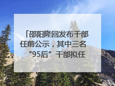 邵阳隆回发布干部任前公示，其中三名“95后”干部拟任副科级领导，均系硕士选调生