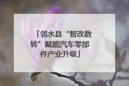 邻水县“智改数转”赋能汽车零部件产业升级