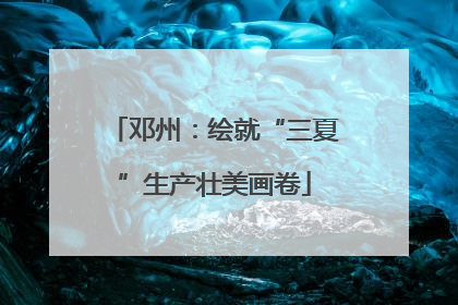 邓州：绘就“三夏”生产壮美画卷