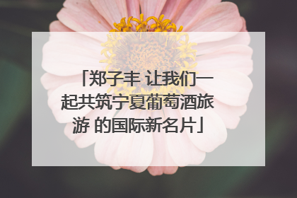 郑子丰 让我们一起共筑宁夏葡萄酒旅游 的国际新名片