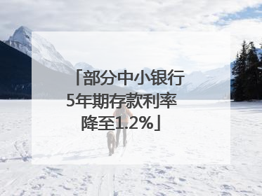 部分中小银行5年期存款利率降至1.2%