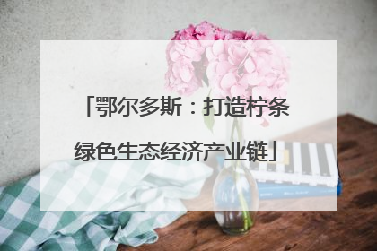 鄂尔多斯：打造柠条绿色生态经济产业链