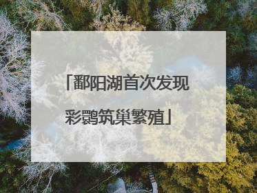 鄱阳湖首次发现彩鹮筑巢繁殖