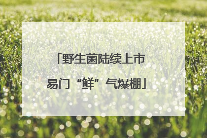 野生菌陆续上市 易门“鲜”气爆棚