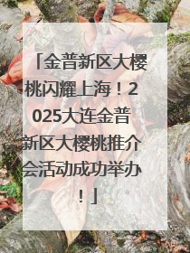 金普新区大樱桃闪耀上海！2025大连金普新区大樱桃推介会活动成功举办！