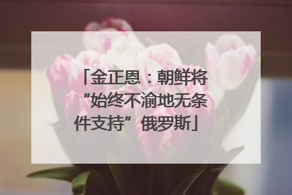 金正恩：朝鲜将“始终不渝地无条件支持”俄罗斯