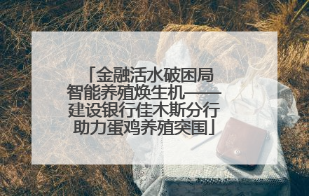 金融活水破困局 智能养殖焕生机——建设银行佳木斯分行助力蛋鸡养殖突围
