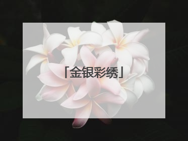 金银彩绣