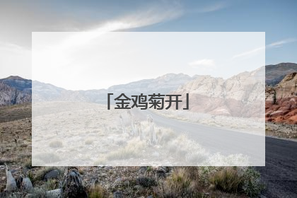 金鸡菊开