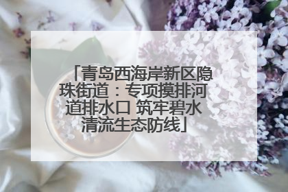 青岛西海岸新区隐珠街道：专项摸排河道排水口 筑牢碧水清流生态防线